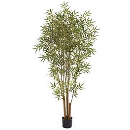 BreeBe - 6' Japanese Bamboo Tree x 6 w/1920 Lvs - Green