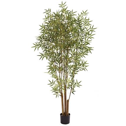 Front. BreeBe - 6' Japanese Bamboo Tree x 6 w/1920 Lvs - Green.