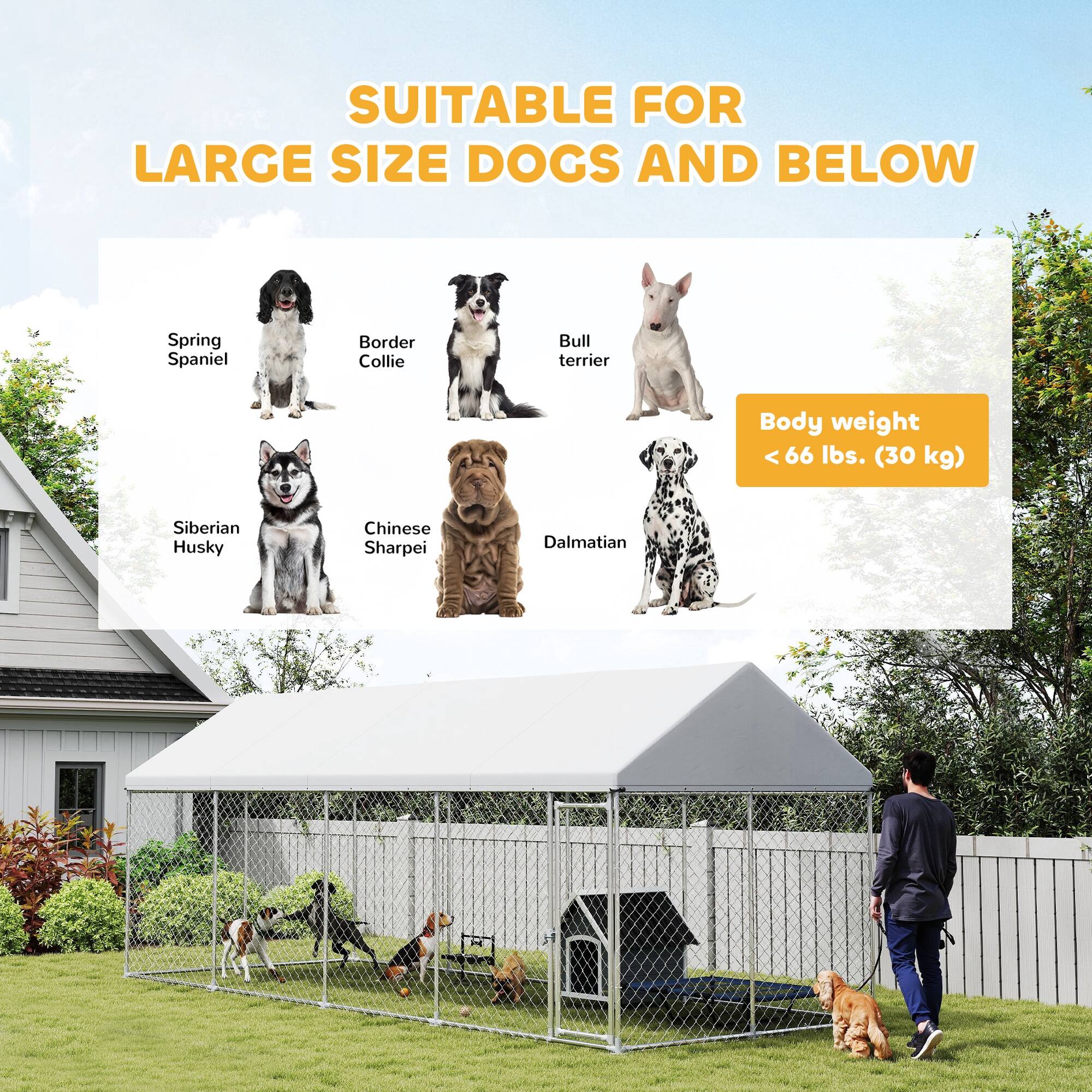 SUITABLE FOR LARGE SIZE DOGS AND BELOW

- Spring Spaniel
- Border Collie
- Bull Terrier
- Siberian Husky
- Chinese Sharpei
- Dalmatian

Body weight < 66 lbs. (30 kg)