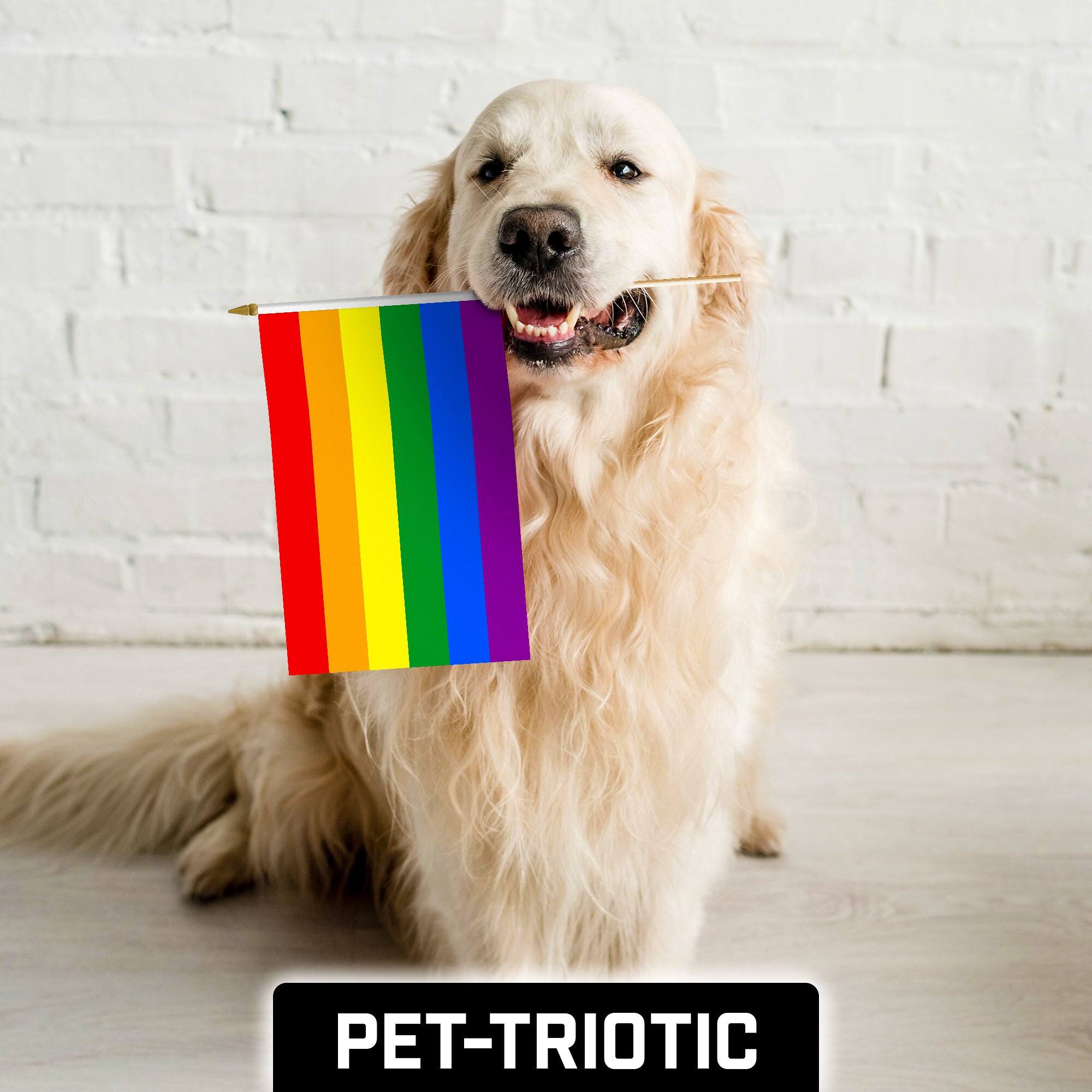 Alt View 3. G128 - Handheld LGBT Rainbow Pride Stick Flags 12x18 Inch Printed 150D Polyester 10 Pack - Rainbow.