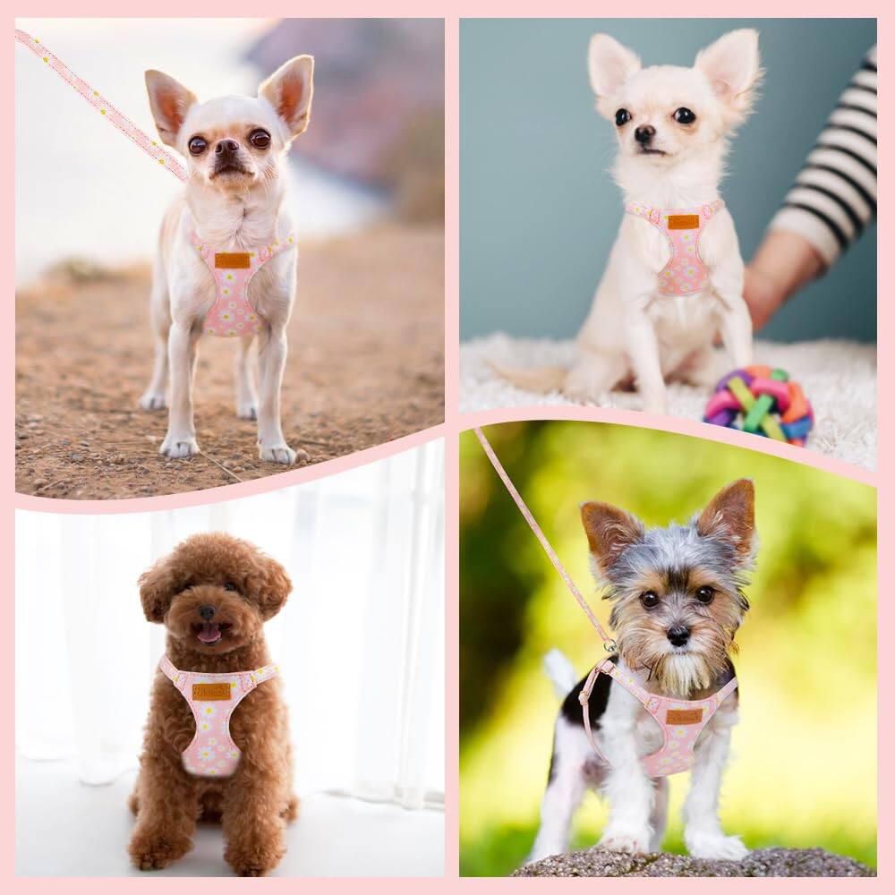 Alt View 7. Paradigms Interiors - No Pull Dog Harness With Leash - Soft Floral Pattern Puppy Pet For Dogs Xxs - Strawberry-X-Small(6-11lb).