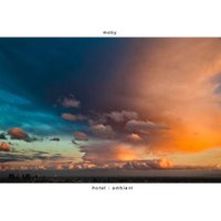 Hotel Ambient [LP] - VINYL - Front_Standard