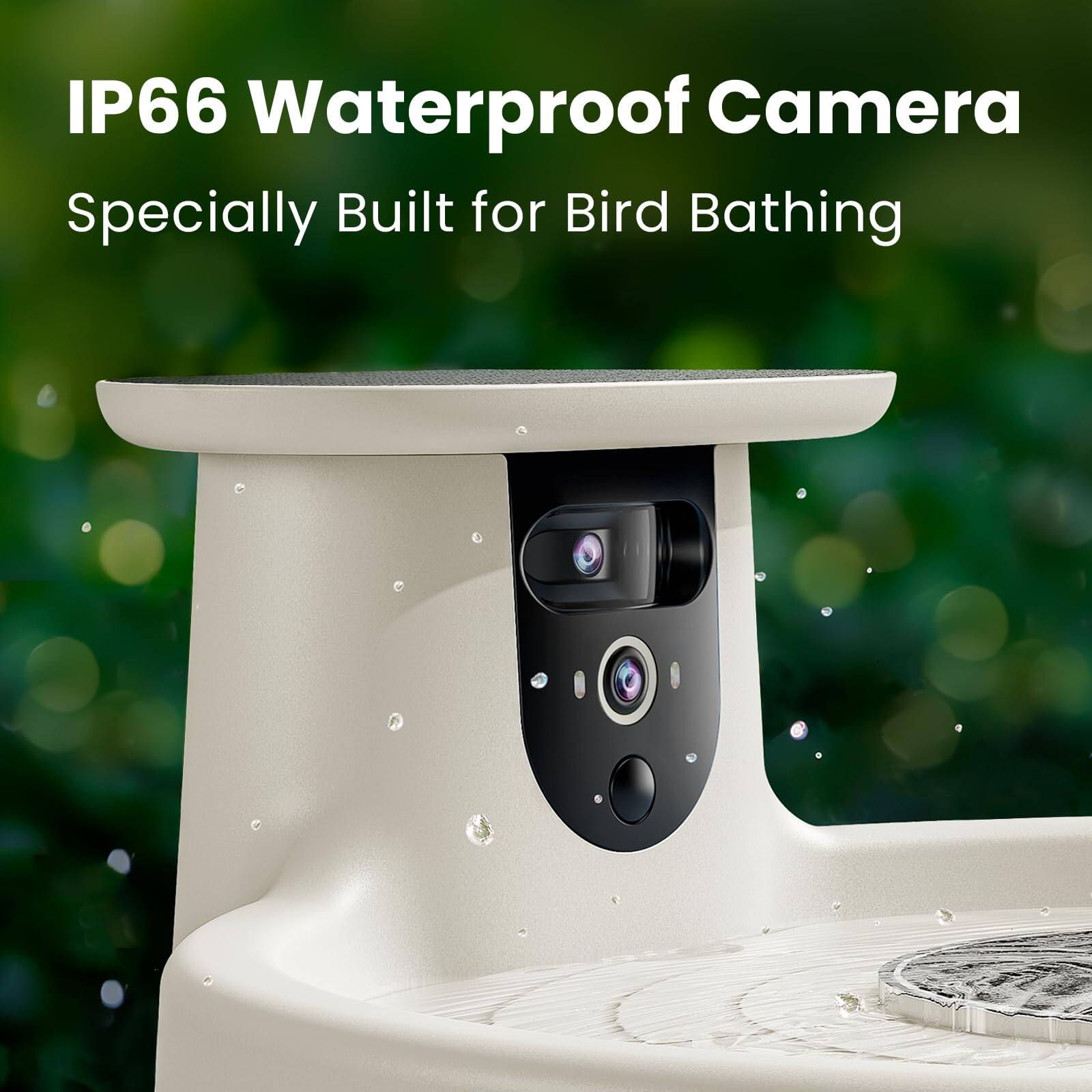 IP66 Waterproof Camera  
Specially Built for Bird Bathing