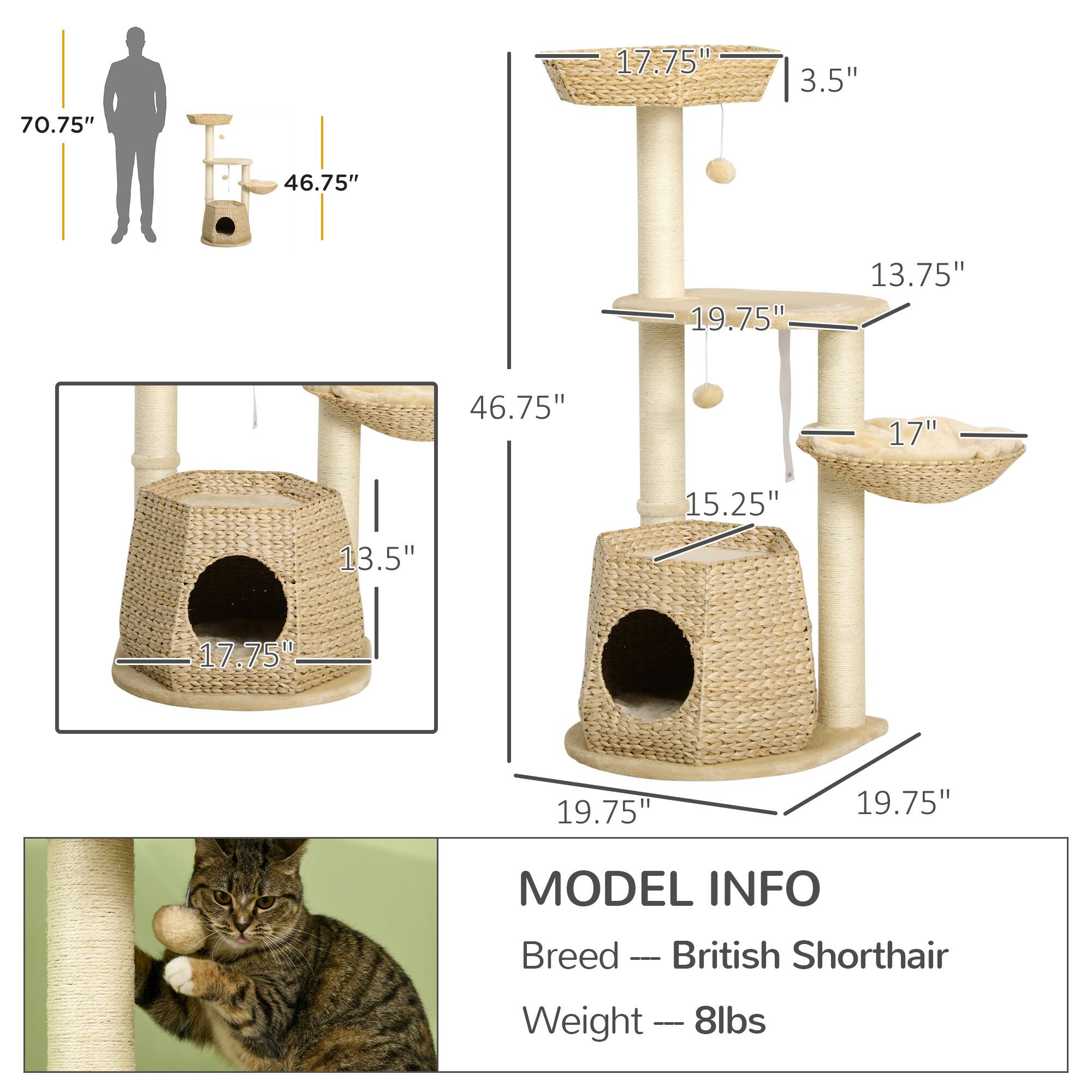 70.75"  
46.75"  
17.75"  
3.5"  
19.75"  
13.75"  
17"  
15.25"  
13.5"  
19.75"  
19.75"  

MODEL INFO  
Breed — British Shorthair  
Weight — 8lbs