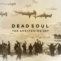 The  Sheltering Sky [LP] - VINYL - Front_Original