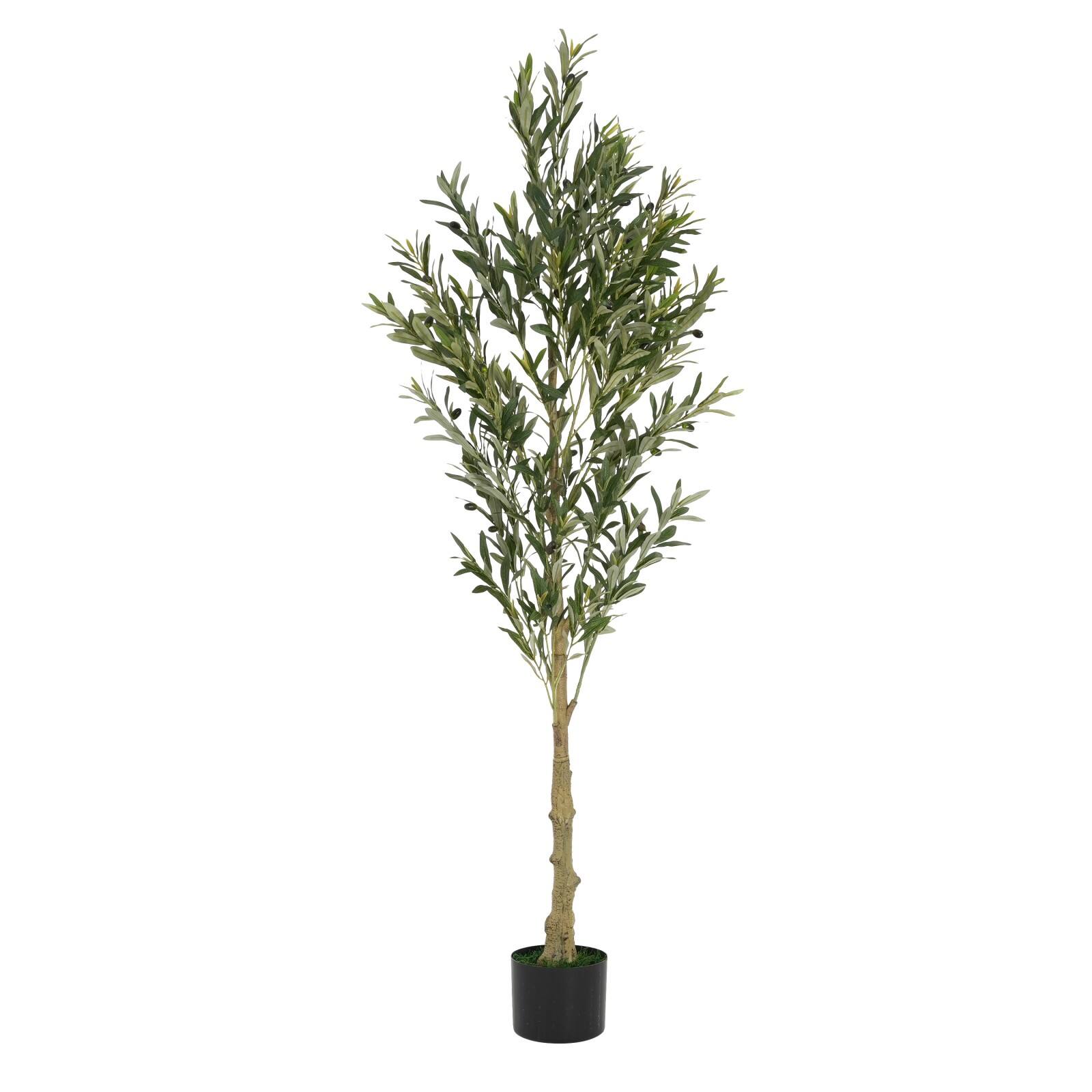 Front. Glintex - 6' Artificial Olive Tree with Pot - Green.