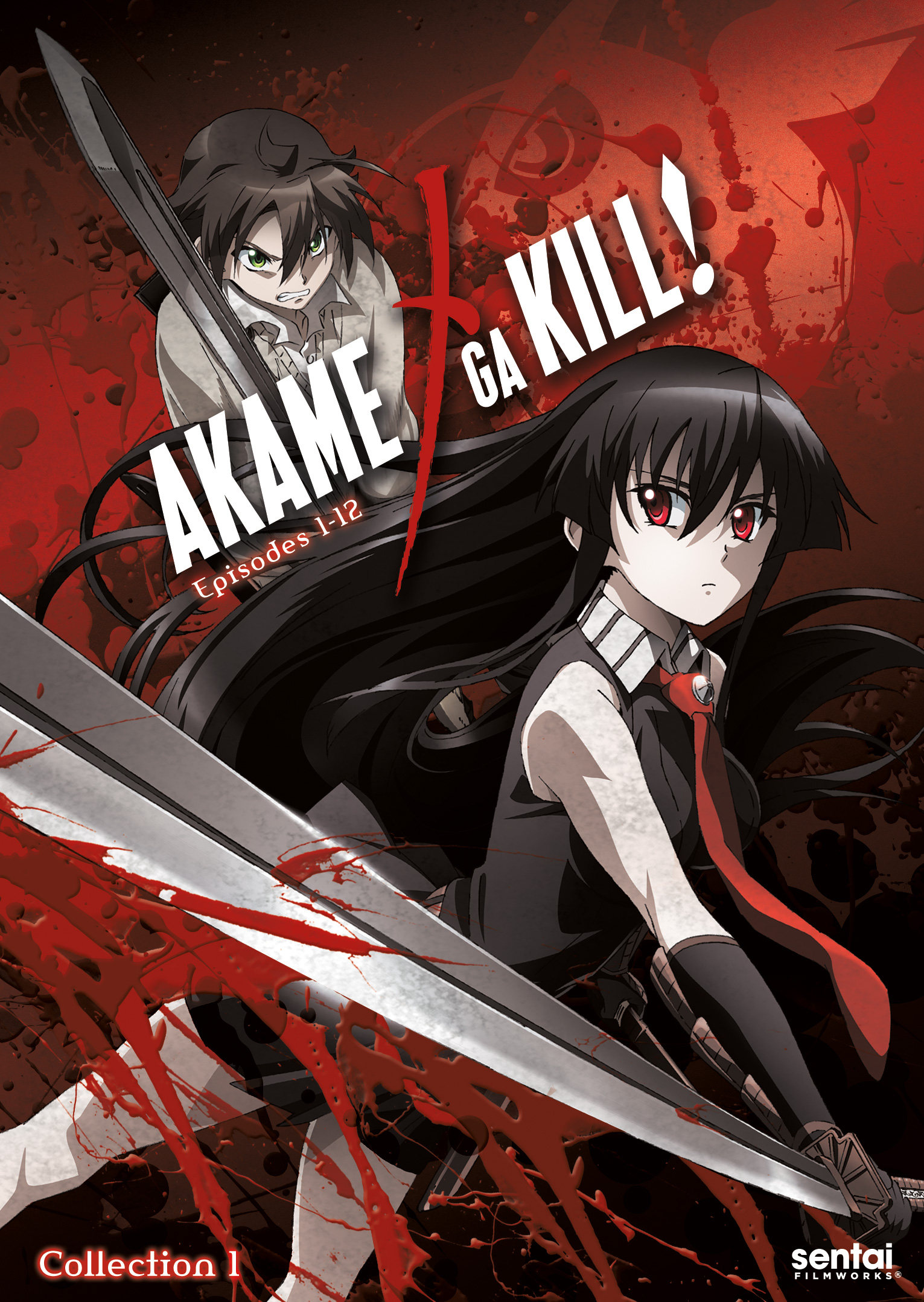 Best Buy: Akame Ga Kill!: Collection 1 [3 Discs] [DVD]