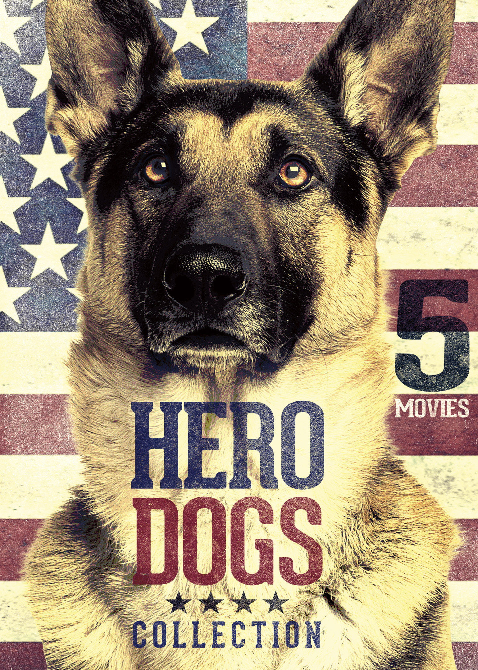 5-Movie Hero Dogs Collection [DVD] - Best Buy