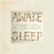 Front Standard. Awake Is the New Sleep [Tenth Anniversary Edition] [2 LP] [LP] - VINYL.