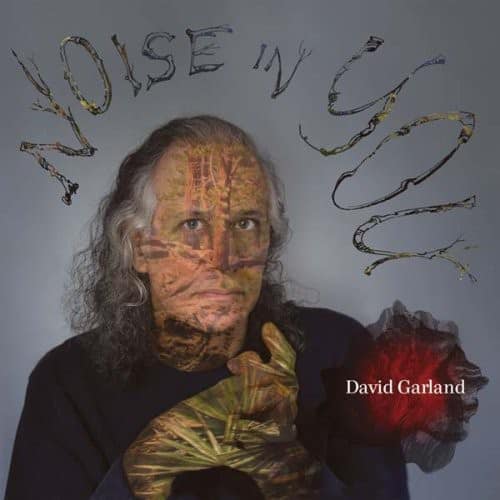 David Garland - Noise in You  - COMPACT DISCS