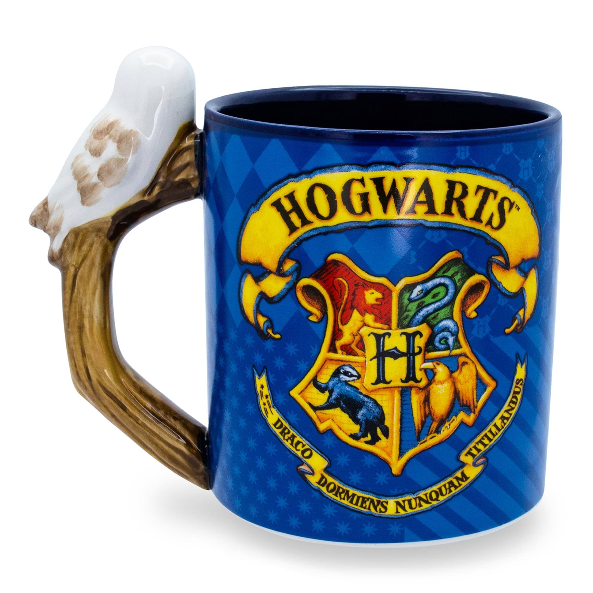 HOGWARTS  
DRACO TITILLANDUS  
DORMIENS NUNQUAM