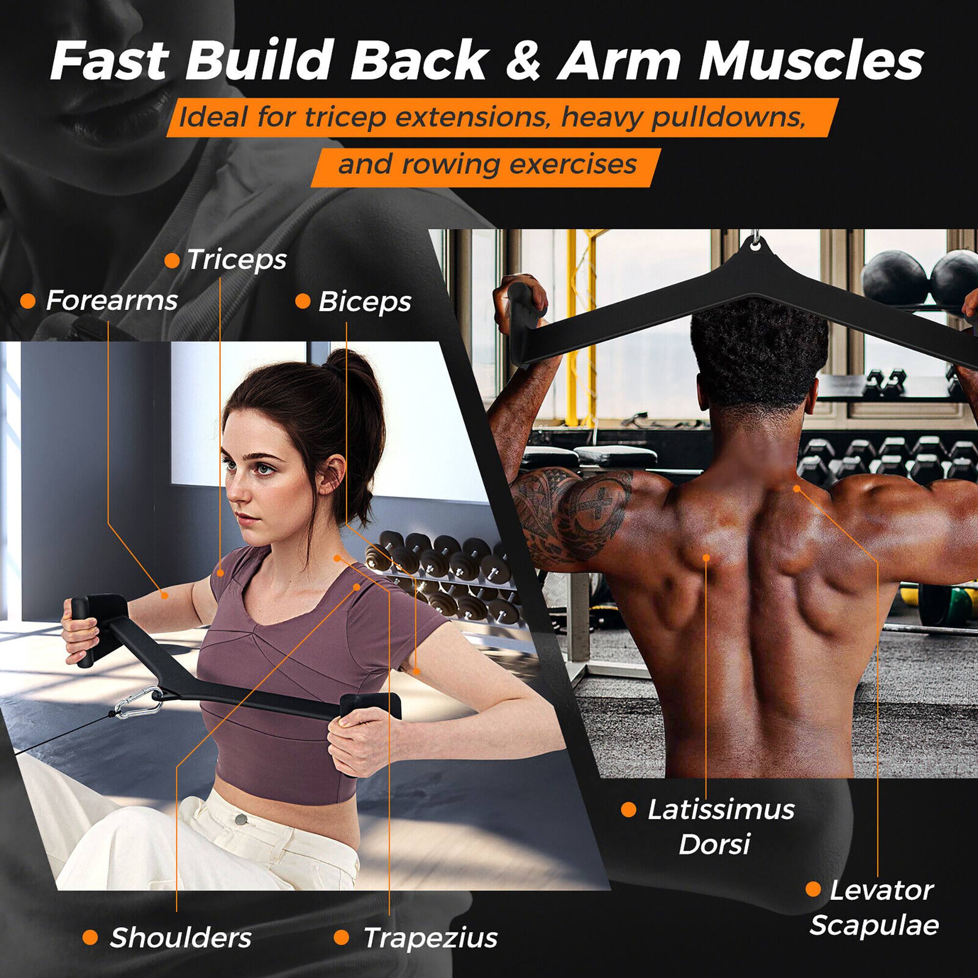 Fast Build Back & Arm Muscles: Ideal for tricep extensions, heavy pulldowns, and rowing exercises.

* Triceps
* Forearms
* Biceps
* Latissimus Dorsi
* Shoulders
* Trapezius
* Levator Scapulae