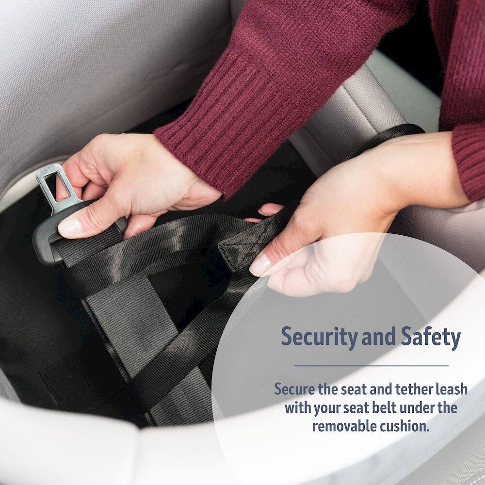 Security and Safety  
Secure the seat and tether leash with your seat belt under the removable cushion.