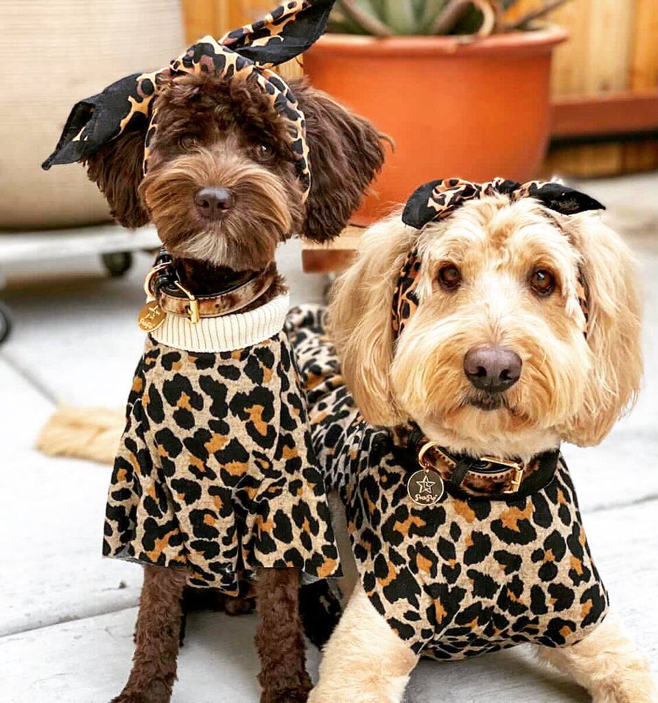 Left. PoisePup - Genuine Leather Dog Collar - Handmade, Adjustable & Soft - Leopard.