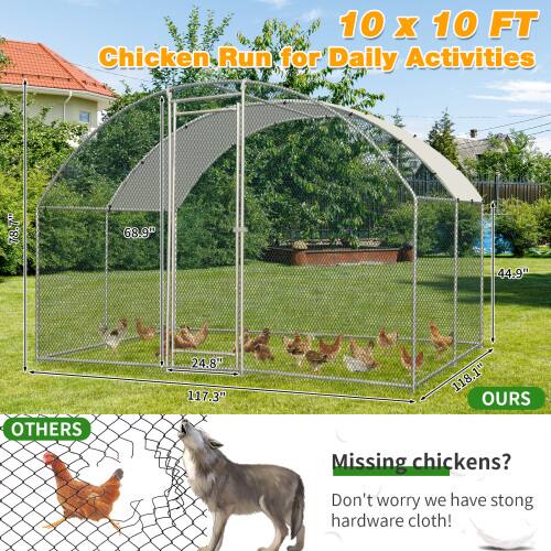 10 x 10 FT Chicken Run for Daily Activities

78.7" 68.9" 44.9" 24.8" 117.3" 118.1"

OURS

OTHERS

Missing chickens? Don't worry we have strong hardware cloth!