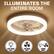 ILLUMINATES THE ENTIRE ROOM
LIGHT MODE ONLY
FAN MODE ONLY
COMBO MODE