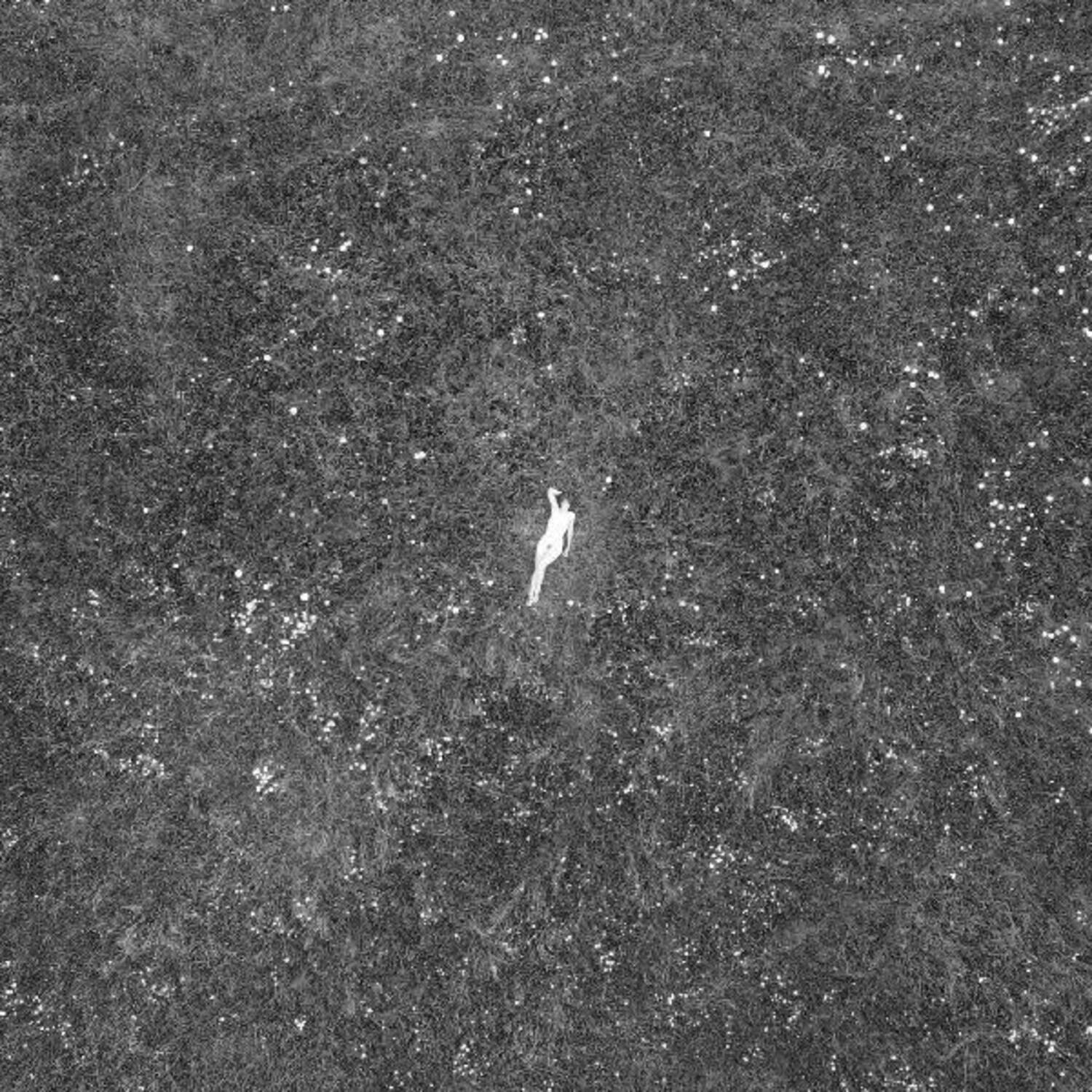 Front. Birds of Passage - The Last of Garden   - VINYL LP.