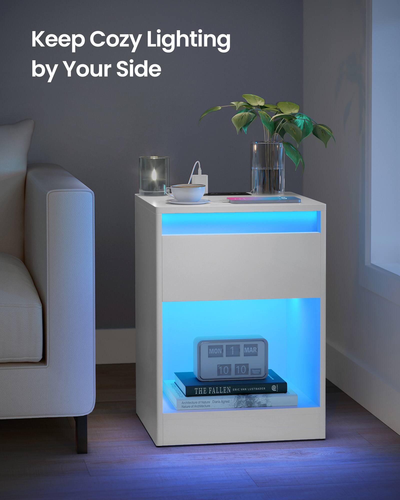 Keep Cozy Lighting by Your Side

MON 1 MAR 10 10

FALLEN

I add LUSTRADER

I THE Architecture of Nature

Diana Agrest