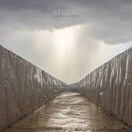 Bellini - Before The Day Has Gone - VINYL LP