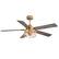Angle. Breezary - 52-Inch Indoor Ceiling Fan with Light Kit, 5 Plywood Dual-Finish Blades, DC Motor, 5/10'' Downrods, Remote, Glass Shade - Paint Gold with Black and Rich Walnut.