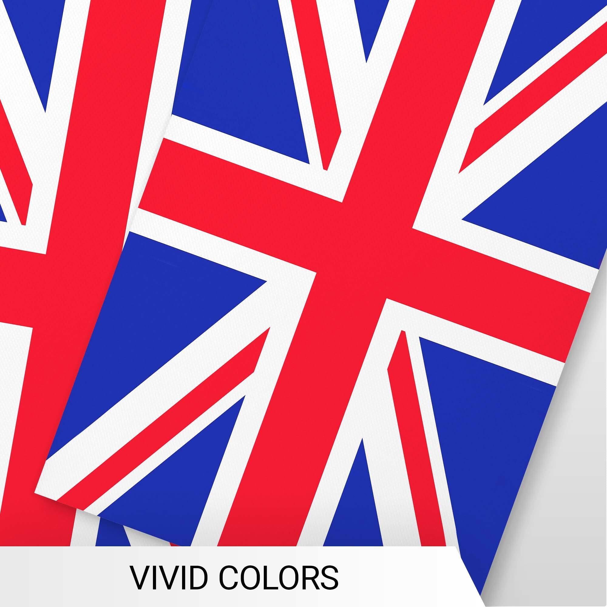 VIVID COLORS