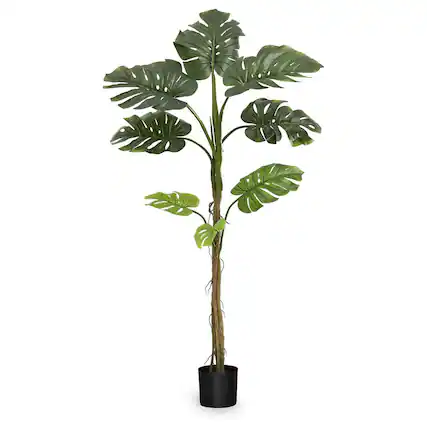 Front. Maia Shop - Maia Shop Artificial Monstera Plant 5 Feet Tall Tropical Palm Tree, 62 inches - Green.