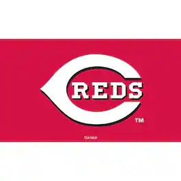 Evergreen Enterprises - Cincinnati Reds 28" x 16" Logo Indoor/Outdoor Trapper Mat - Multicolor