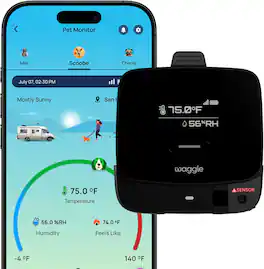 Waggle - 4G Pet Temperature Monitor Lite - No WiFi, Real-Time Alerts, Power Outage Detection, RV & Car Safety Device - Black