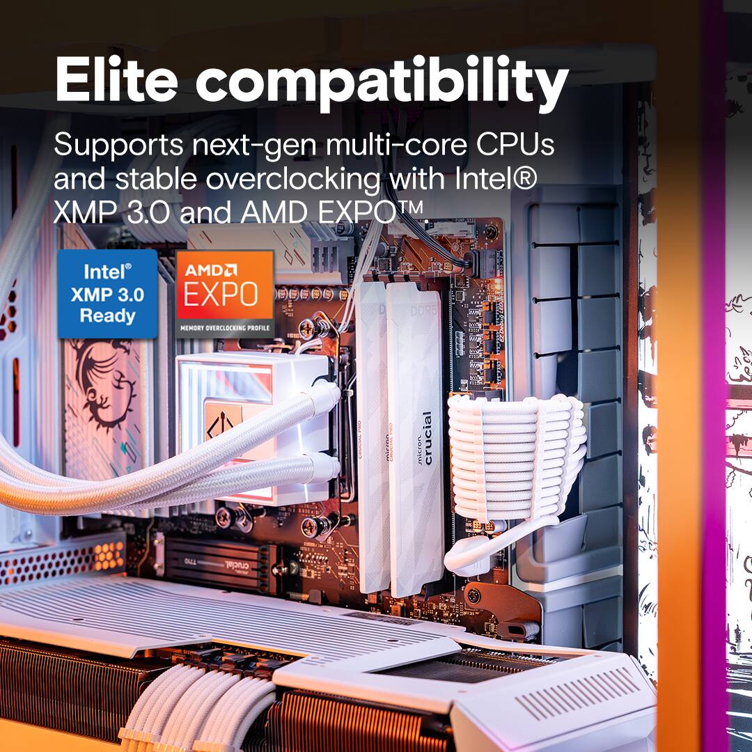 Elite compatibility

Supports next-gen multi-core CPUs and stable overclocking with Intel® XMP 3.0 and AMD EXPO™

Intel® XMP 3.0 Ready

AMD EXPO MEMORY OVERCLOCKING PROFILE