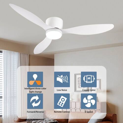 Intelligent three-color light change  
Low Noise  
Copper Lotor  
Forward/Reverse  
Remote Control  
6 Speed