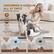 GROOMING & VACUUM ALL AT ONCE
One-Click Hair Removal
3 Suction Levels
99% Fur Removal
Safe & Durable Metal Pins
Sucked
Collected