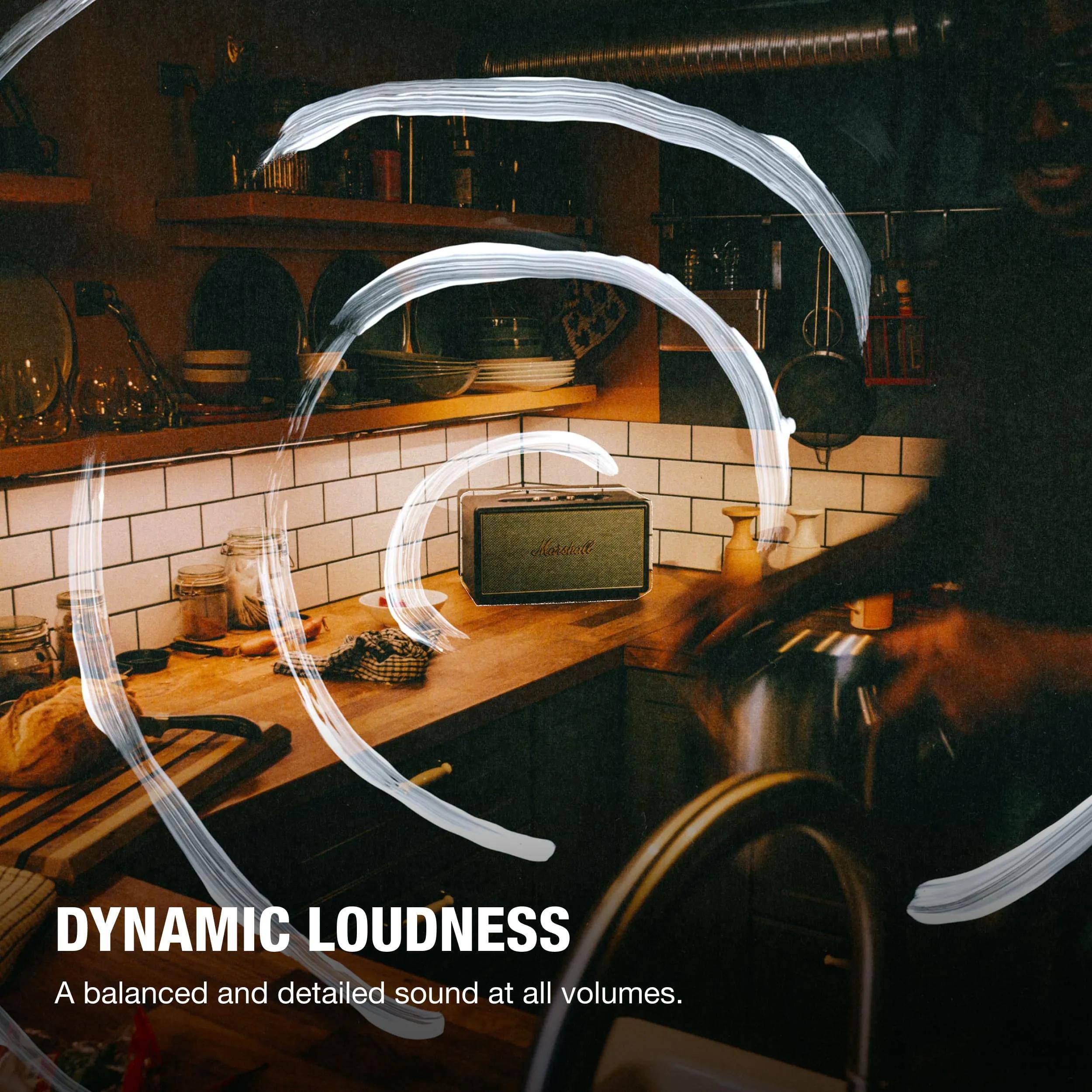 Mordnt DYNAMIC LOUDNESS  
A balanced and detailed sound at all volumes.