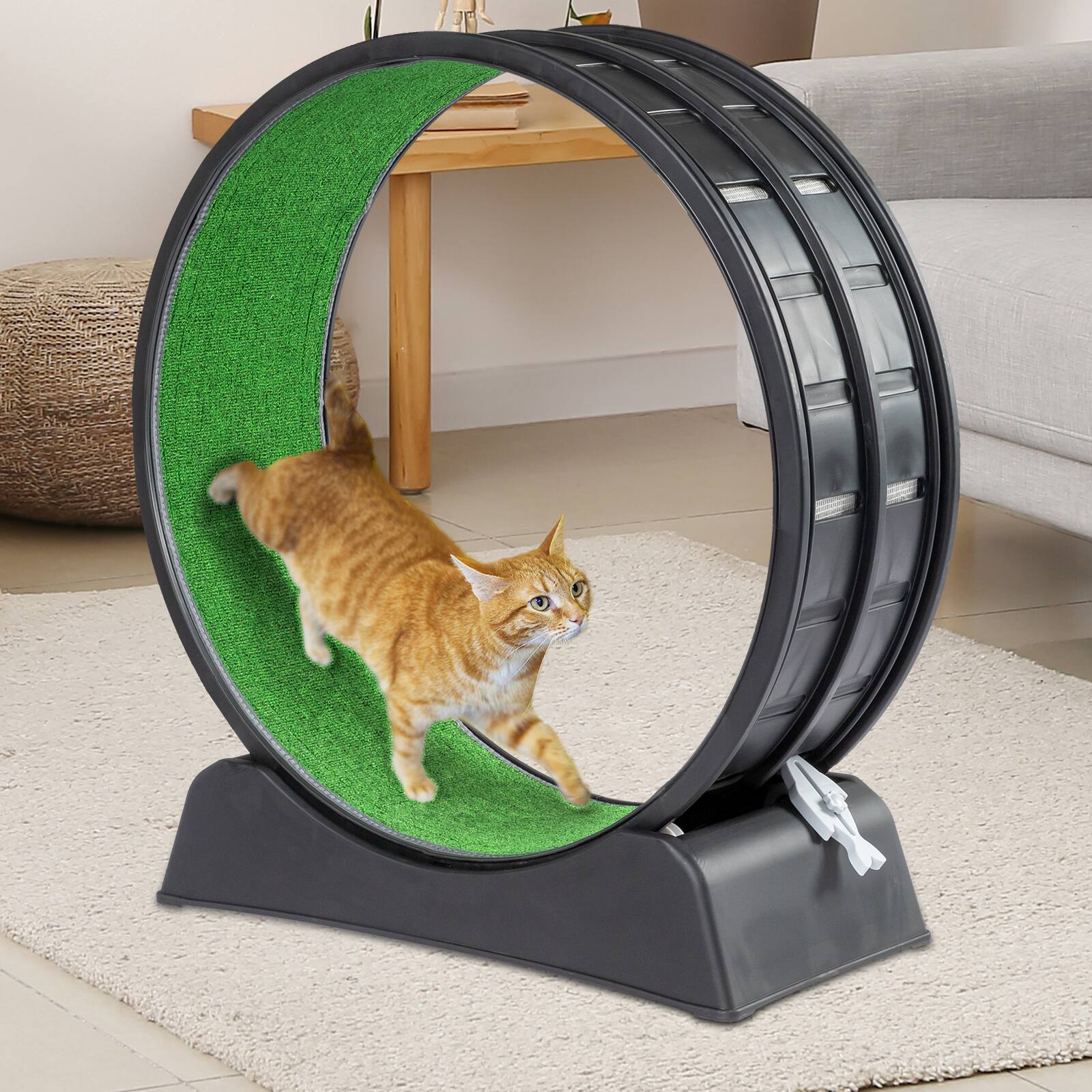 Winado - Cat Exercise Wheel 30inch for Indoor Cats, Safety Cat Treadmill Running Wheel - Black