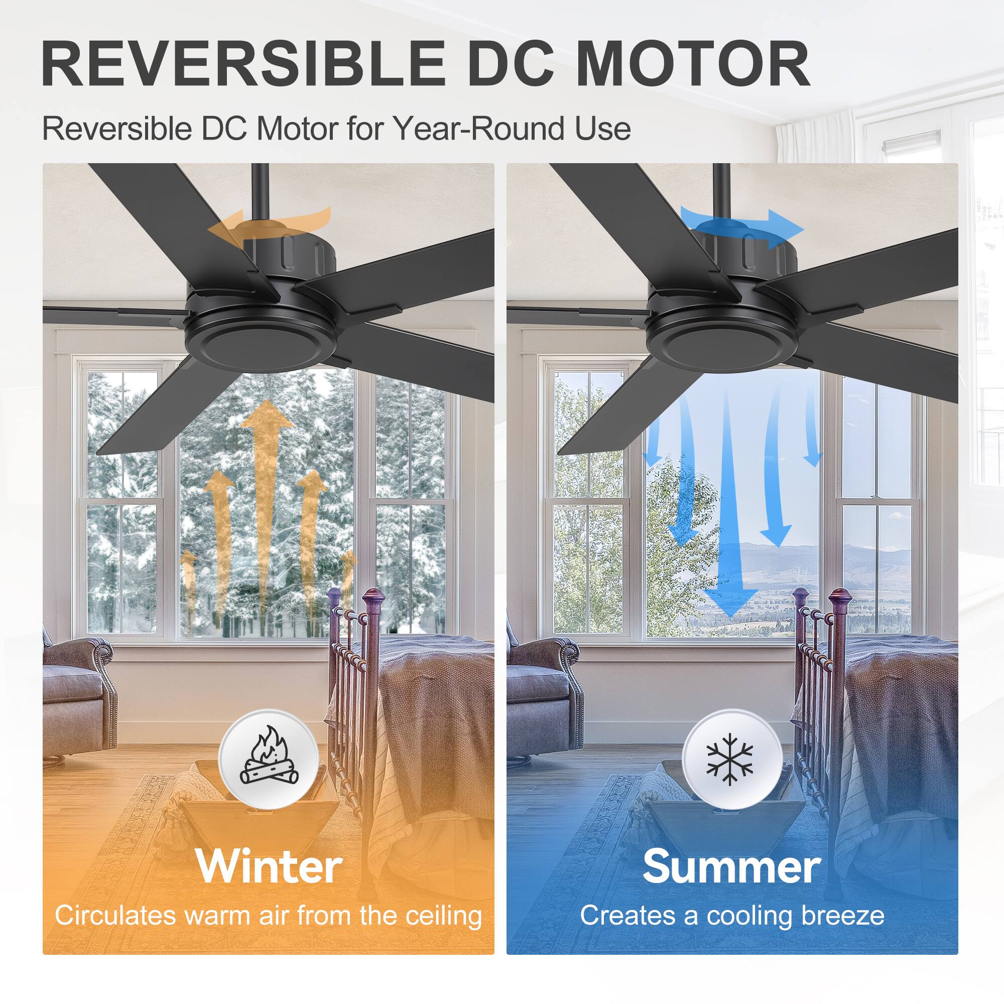 REVERSIBLE DC MOTOR  
Reversible DC Motor for Year-Round Use  
Winter: Circulates warm air from the ceiling  
Summer: Creates a cooling breeze