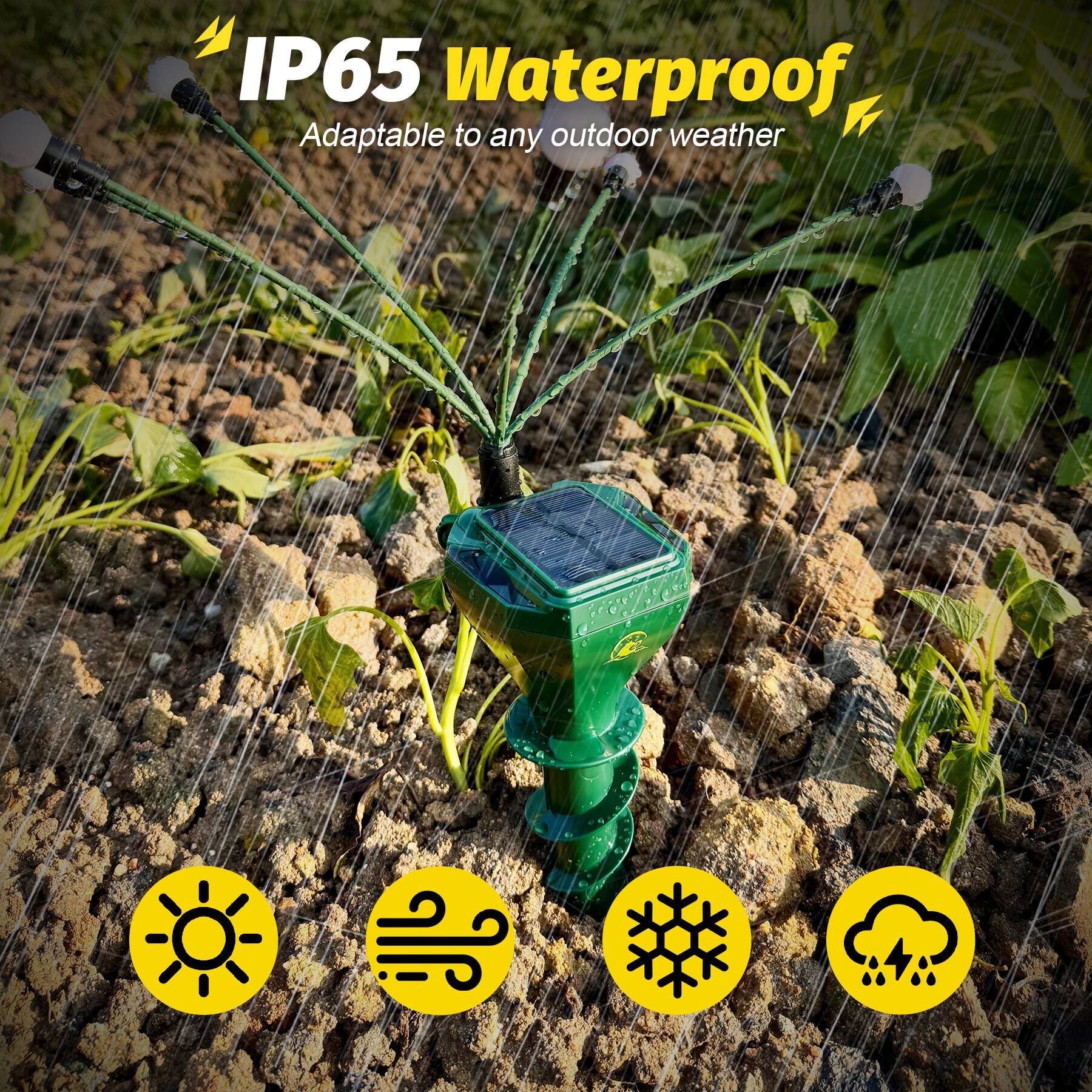 IP65 Waterproof  
Adaptable to any outdoor weather