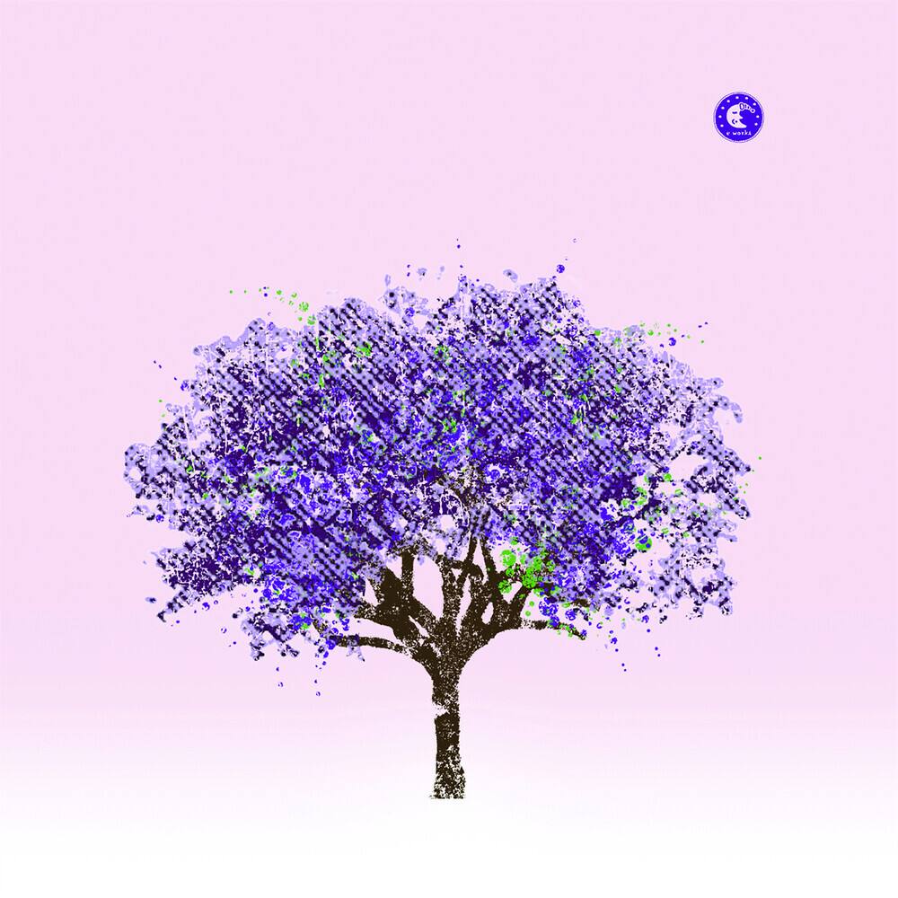 Front. Tomorrow Morning [LP].