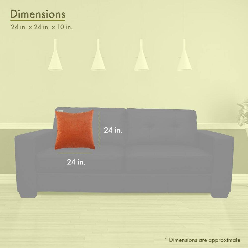 Dimensions  
24 in. x 24 in. x 10 in.  

24 in.  
24 in.  

* Dimensions are approximate