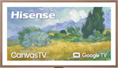 Hisense
CanvasTV
Google TV