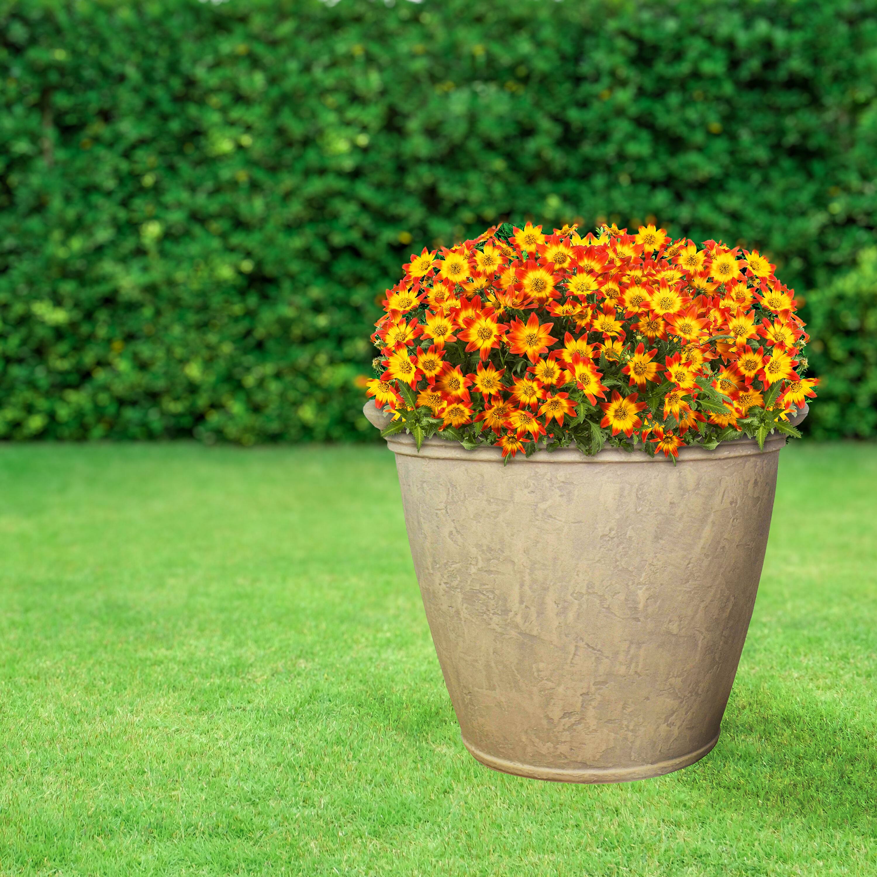 Alt View 9. Sunnydaze - 24 in Anjelica Dual-Wall Polyresin Planter - Set of 4 - Beige.