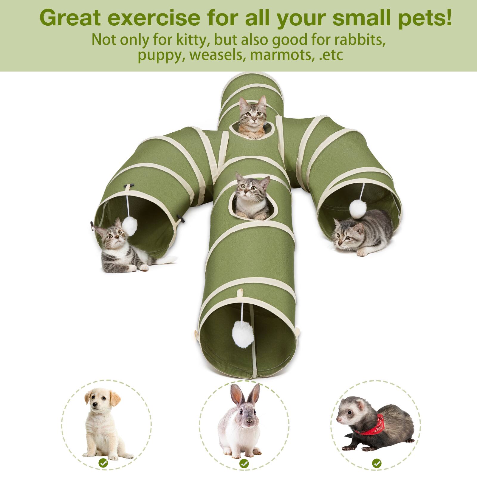 Great exercise for all your small pets!  
Not only for kitty, but also good for rabbits, puppy, weasels, marmots, etc.
