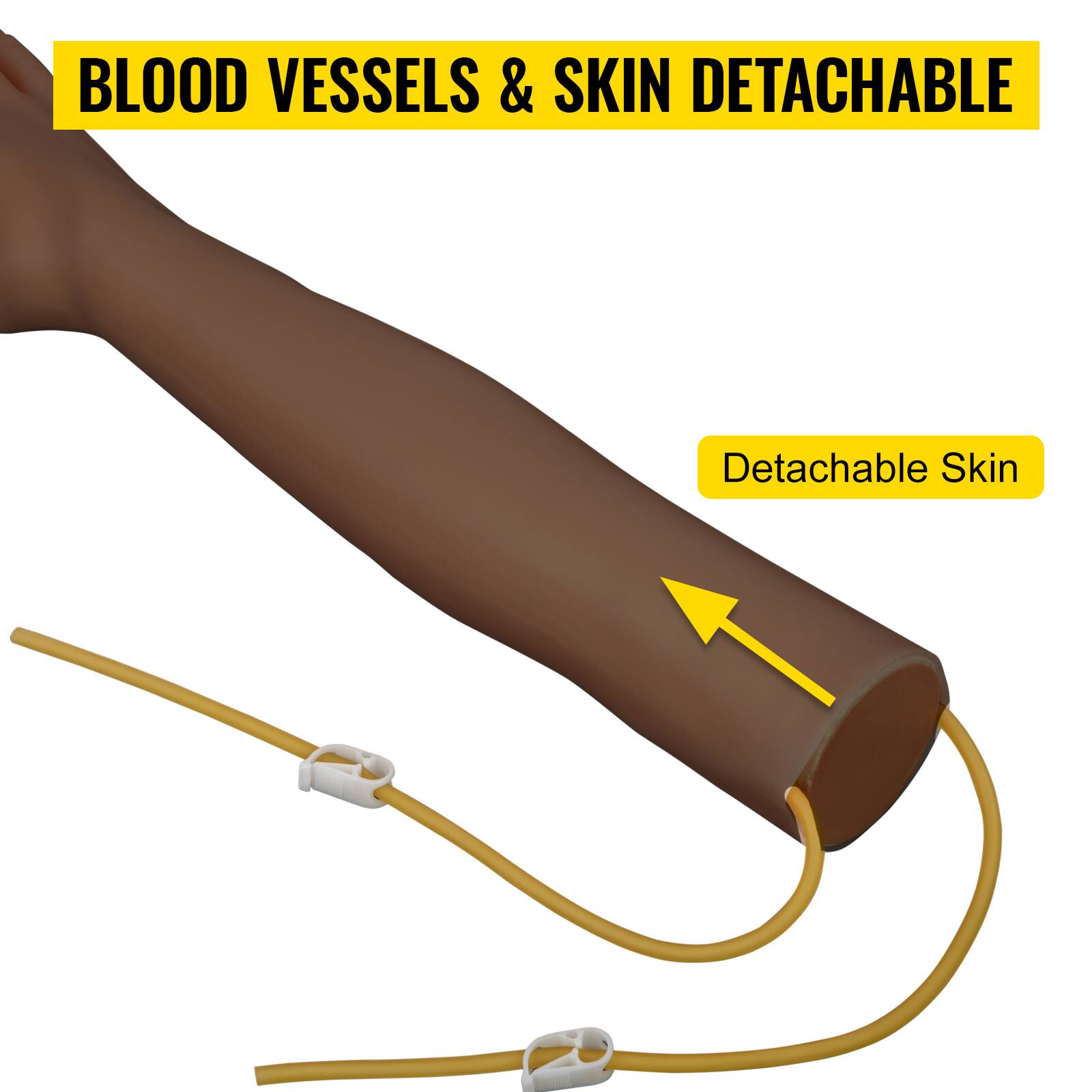 BLOOD VESSELS & SKIN DETACHABLE

Detachable Skin