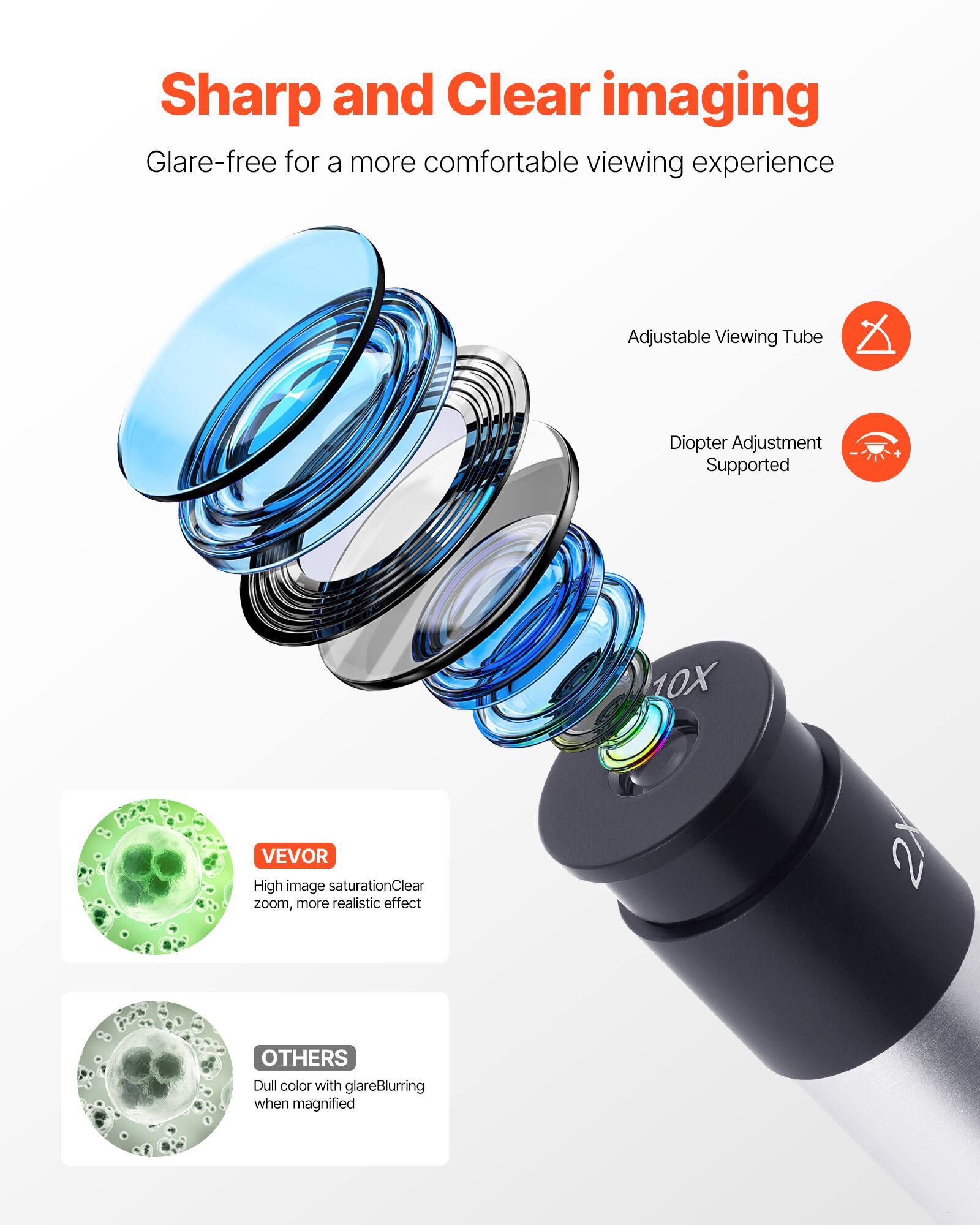 Sharp and Clear imaging  
Glare-free for a more comfortable viewing experience  

Adjustable Viewing Tube  
Diopter Adjustment Supported  

10X  

VEVOR  
High image saturation  
Clear zoom, more realistic effect  

OTHERS  
Dull color with glare  
Blurring when magnified