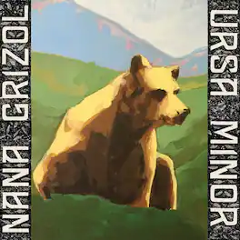 Nana Grizol - Ursa Minor - VINYL LP