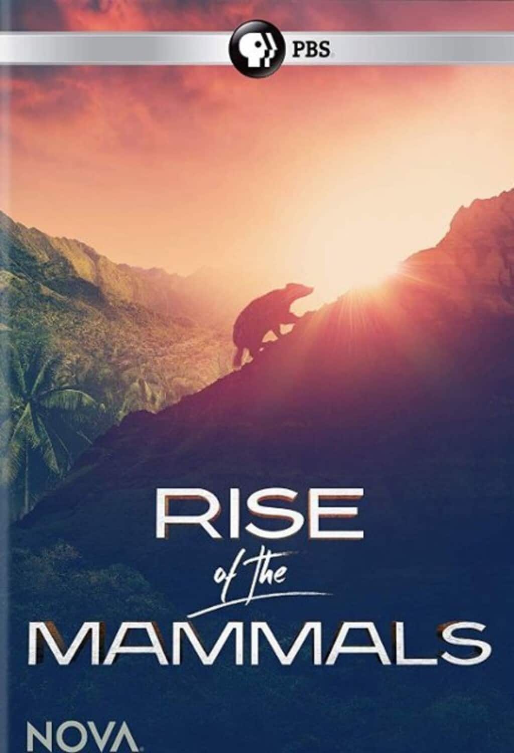 NOVA: Rise of the Mammals  - DVD