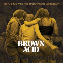 Various Artists - Brown Acid - The Twentieth Trip (Various Artists) - VINYL LP