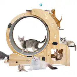 Boyel Living - 6 in 1 Cat Exercise Wheel Silent Treadmill - Natural Wood