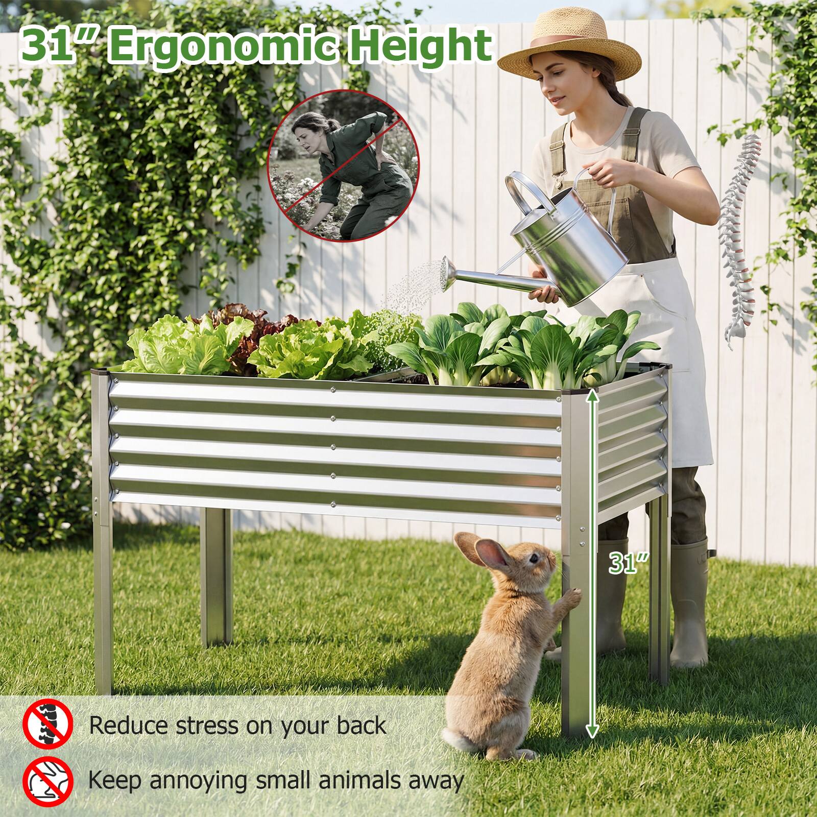 31" Ergonomic Height

Reduce stress on your back

Keep annoying small animals away