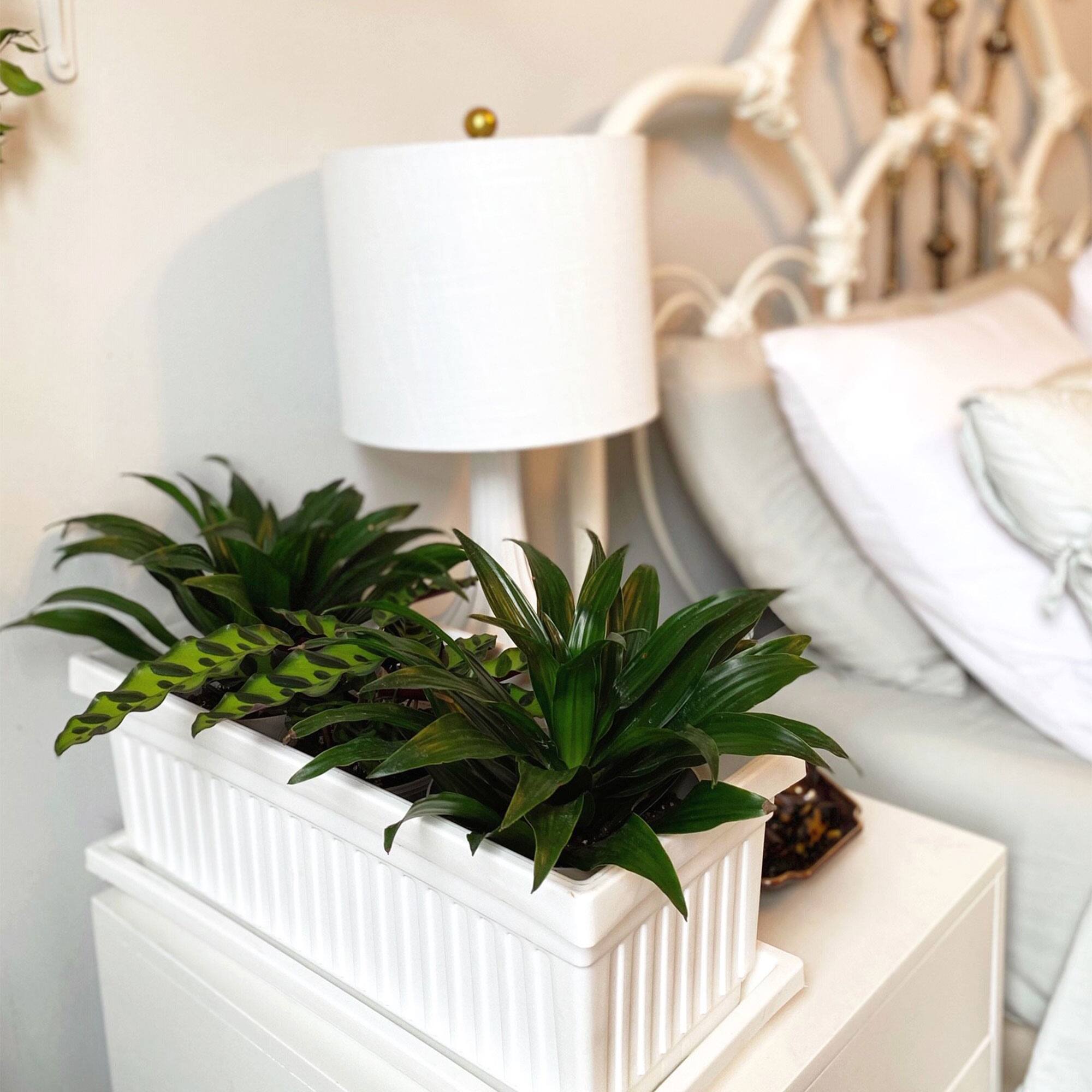 Alt View 4. The HC Companies - HC Companies 30 Inch Fluted Plastic Venetian Garden Flower Window Box (2 Pack) - Black.