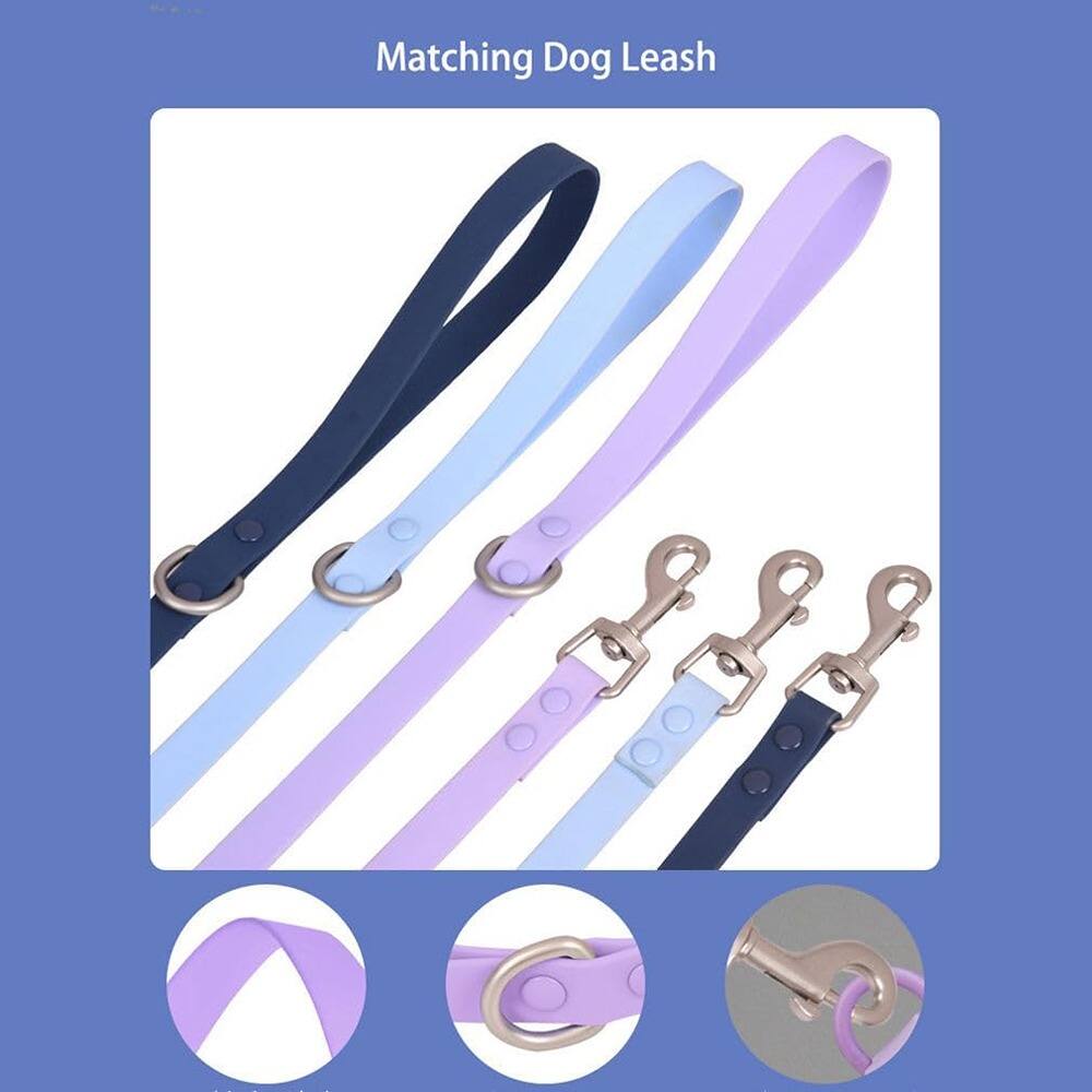 Matching Dog Leash