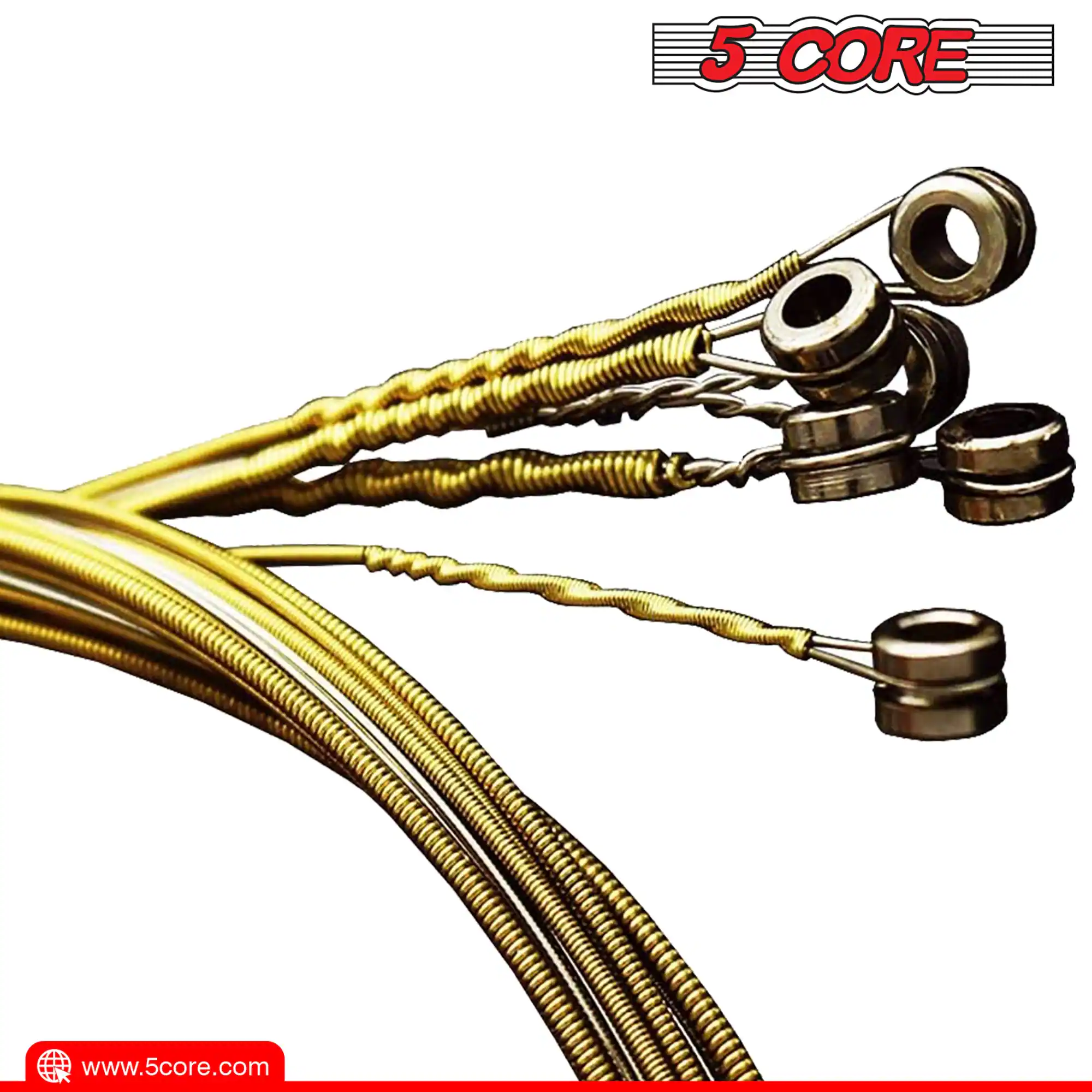 5 CORE  
www.5core.com